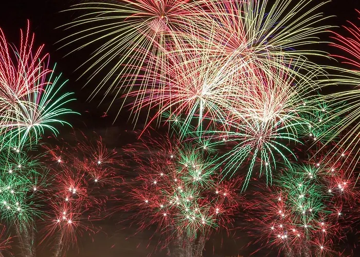 L'atelier - Esprit Bohème, La Nature En * Carcassonne