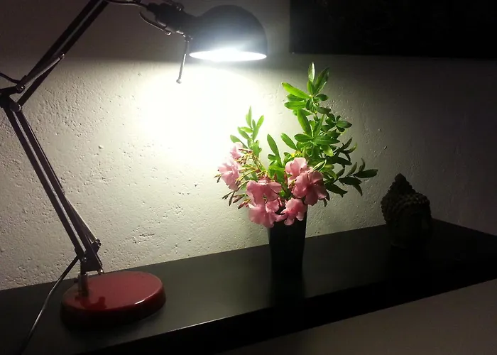 L'atelier - Esprit Boheme, La Nature En Tatil Evi *